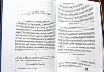 Сергей Дурылин: Статьи и исследования 1900-1920 годов