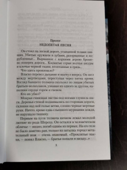 Семенова, Гурова: Аратта. Книга 6. Черные крылья