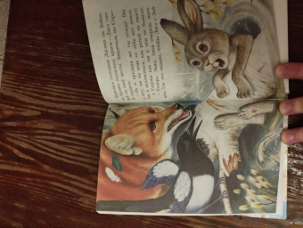 Николай Сладков: Лесные сказки