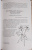 Фез Инкрайт: Тайны растений. Народная магия и исцеление