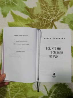 Кэрри Лонсдейл: Все, что мы оставили позади