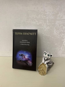 Терри Пратчетт: Шляпа, полная неба