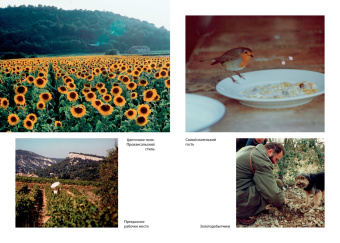 Питер Мейл: Мои двадцать пять лет в Провансе