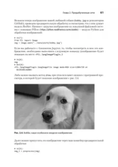 Стивенс, Виман, Антига: PyTorch. Освещая глубокое обучение