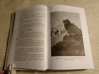 Эмилио Сальгари: Разбойники Сахары. Пантеры Алжира. Грабители Эр-Рифа. Романы