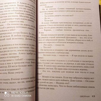 Тесс Герритсен: Двойник
