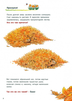Фридерун Райхенштеттер: Как живут ёжики. Познавательные истории