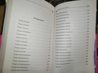 Дарья Донцова: Ступа с навигатором