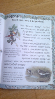 Валерий Роньшин: Птичьи секреты