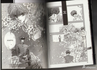 CLAMP: Икс. Книга 4. Семь светил. Часть вторая