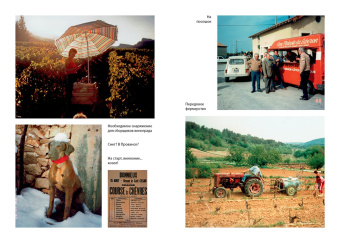 Питер Мейл: Мои двадцать пять лет в Провансе