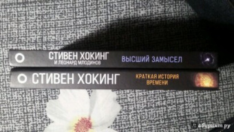 Хокинг, Млодинов: Высший замысел