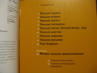 Ольга Седакова: Путешествие с закрытыми глазами. Письма о Рембрандте
