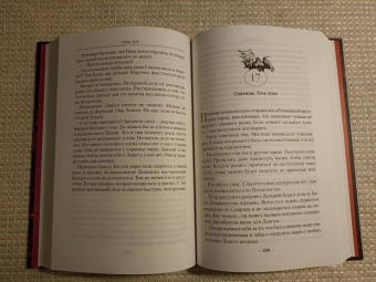 Глен Кук: Хроники Черного Отряда. Портал Теней