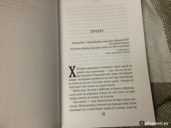 Джозеф Дилейни: Арена 13. Кровь