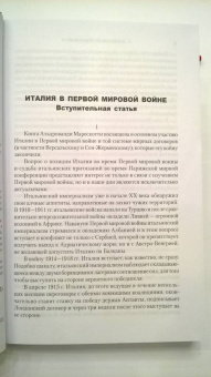 Марескотти Альдрованди: Дипломатическая война. 1914-1918