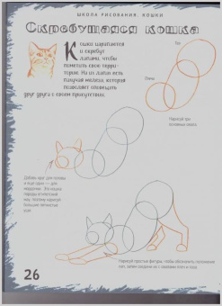 Марк Берджин: Школа рисования. Кошки