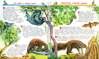 Владимир Бабенко: Животные