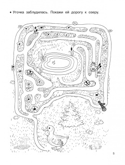 Занимательные лабиринты. Развиваем внимание