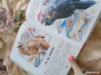 Николай Сладков: Сказки лесной опушки