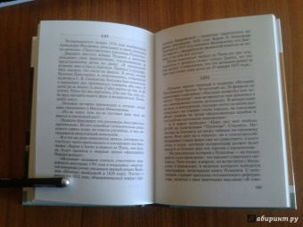 Владимир Новиков: Пушкин