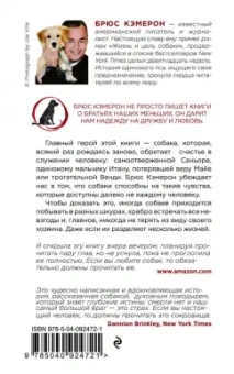 Брюс Кэмерон: Жизнь и цель собаки
