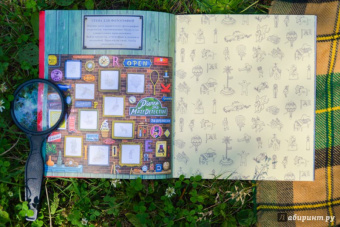 Хиро Камигаки: Детектив Пьер распутывает дело. Стикербук