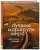 Лучшие маршруты мира. Самые особенные путешествия Лучшие маршруты мира. Самые особенные путешествия