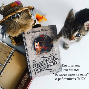 Евгений Чеширко: Дневник Домового