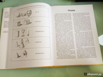 Эндрю Лумис: Искусное рисование