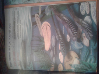 Евстигнеев, Ященко: Кто на свете старше динозавра... или Почему киты живут в воде, а слоны на суше?