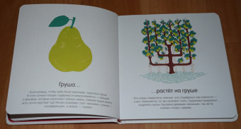 Гибер де: Как они растут?