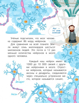 Мари Саксон: Мозг