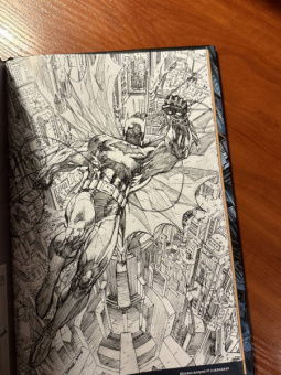 Фрэнк Миллер: Все звезды. Бэтмен и Робин, Чудо-Мальчик. Абсолютное издание