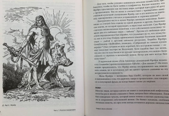 Дэниэл МакКой: Дух викингов. Введение в мифологию и религию Скандинавии
