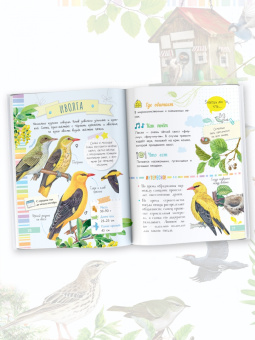 Мария Рахчеева: Птицы