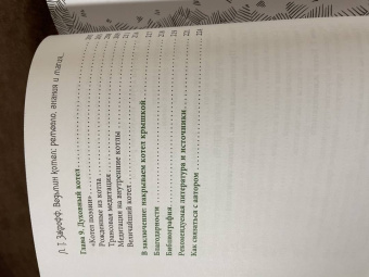 Темпест Закрофф: Ведьмин котел. Ремесло, знания и магия ритуальных сосудов