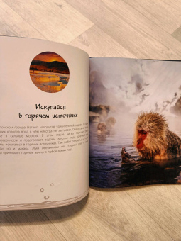 Мак Гагельдонк: Что под землёй? Загадочные недра планеты