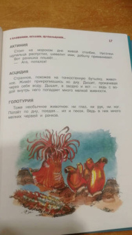 Святослав Сахарнов: В мире дельфина и осьминога