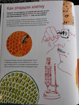 Егоров, Нечипоренко: Живой дом