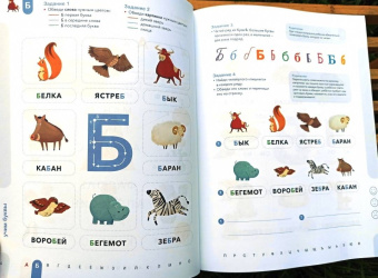 Ирина Мальцева: Буквы. Учимся уверенно узнавать буквы и слова. 5-6 лет