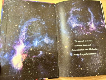 Косухина, Шкутова: Звездный отбор. Как украсть любовь