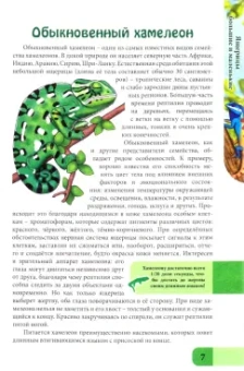Людмила Соколова: Энциклопедия. Ящерицы большие и маленькие