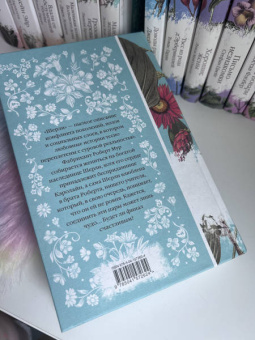 Шарлотта Бронте: Шерли