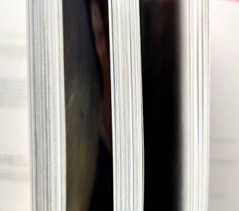 Торопыгина, Громова, Аксенюк: Моне. Ренуар. Дега. Гении импрессионизма