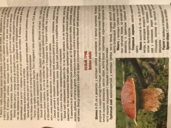 Иван Куреннов: Грибы. Полная иллюстрированная энциклопедия