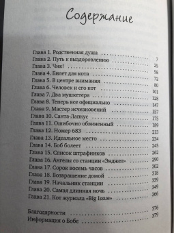 Боуэн, Дженкинс: Как уличный кот изменил мою жизнь