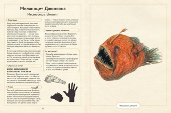 Сэми Бэйли: Энциклопедия удивительных животных