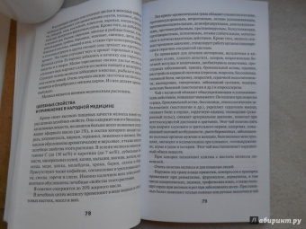 Галина Сергеева: Пряные травы и специи для вашего здоровья