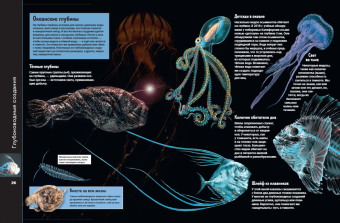 Анна МакРей: Океаны и моря. Виртуальная реальность